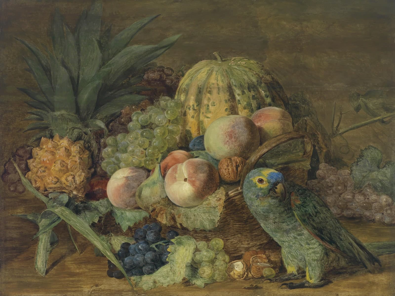 Fruitstilleven met een papegaai