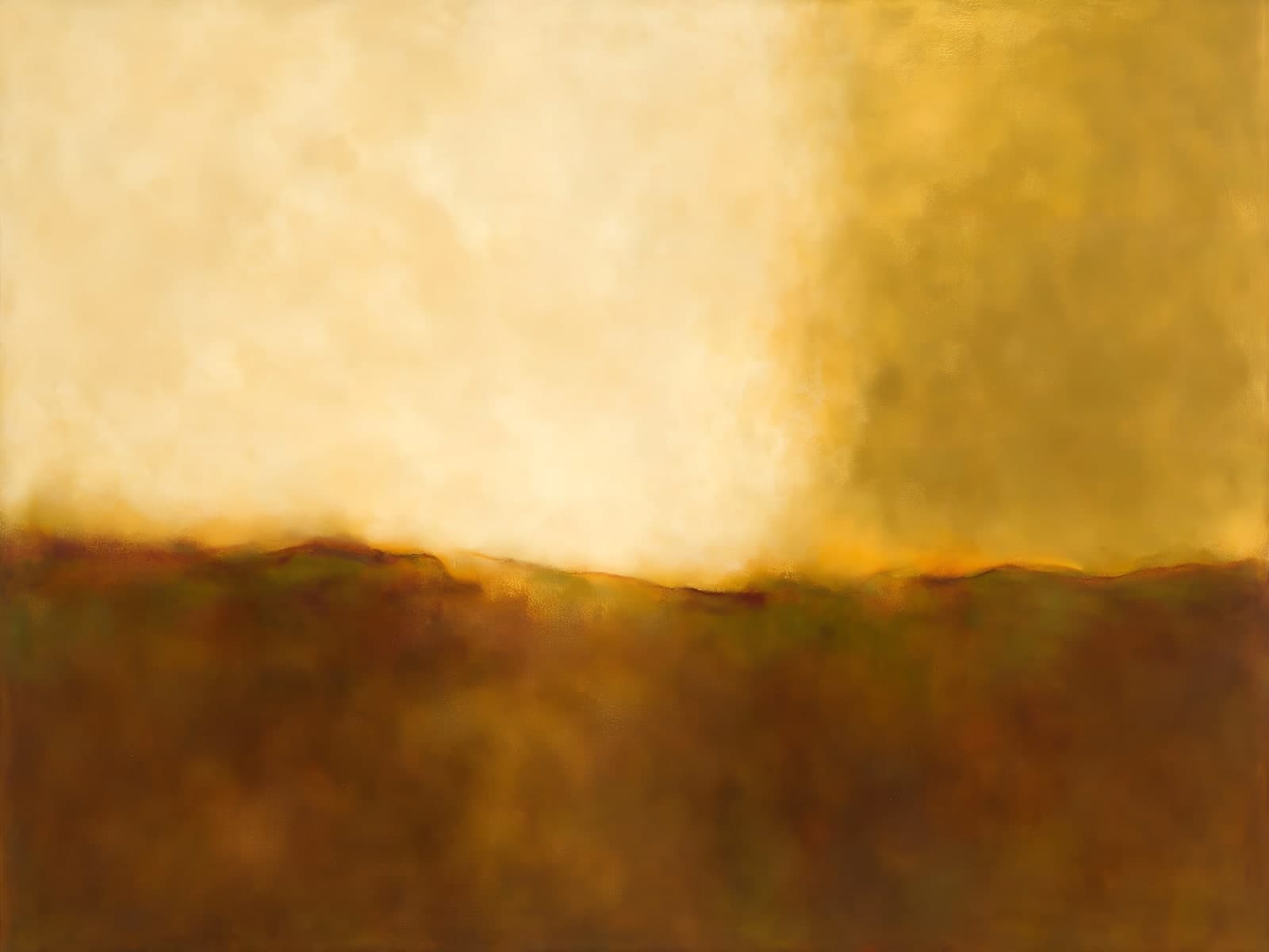 Gouden licht boven een bruin veld