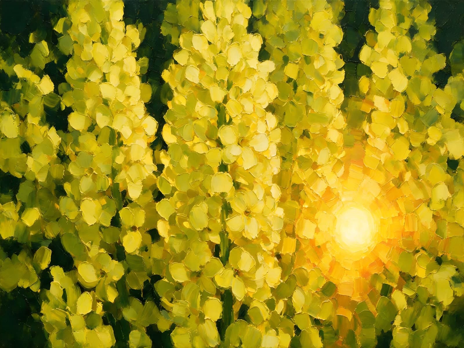 Gele bloemtrossen met de zon ertussen