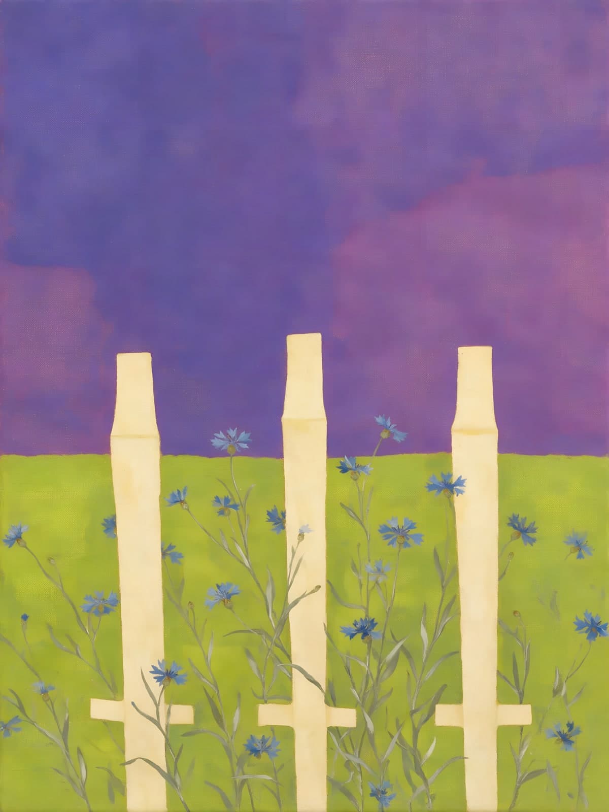 Witte hekpalen in een grasveld met korenbloemen