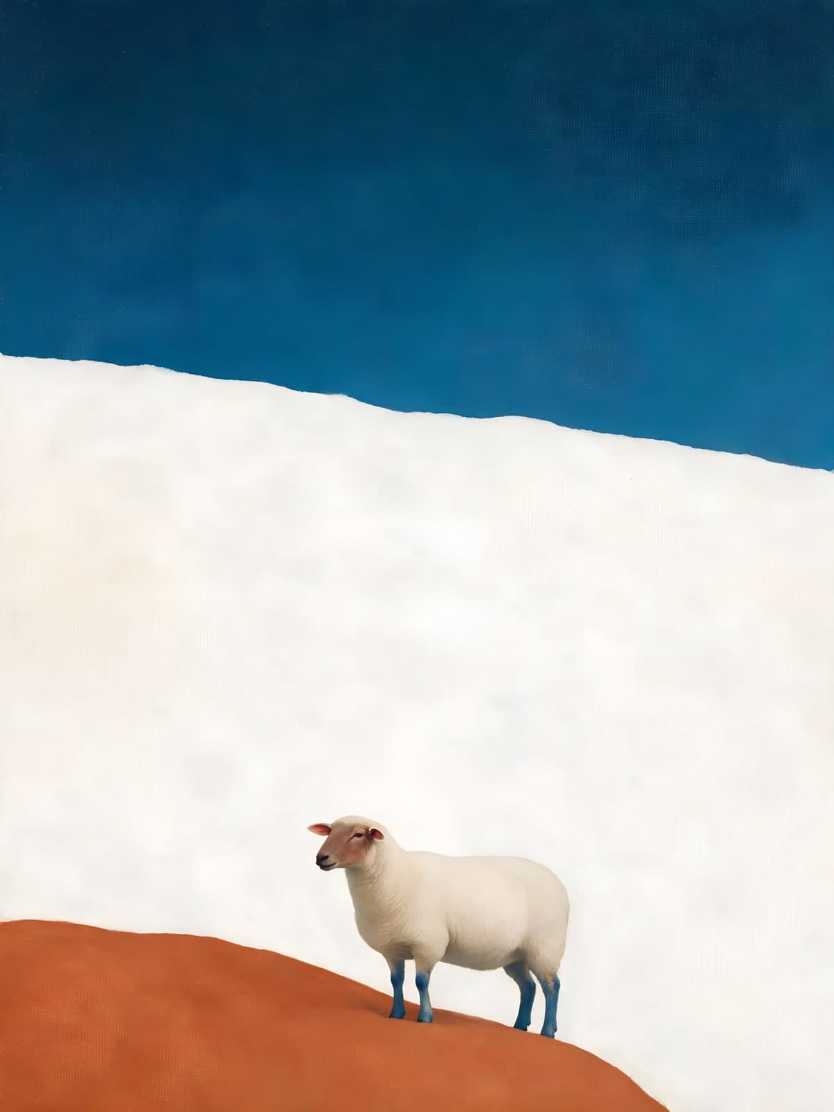 Schaap op witte helling onder donkerblauwe lucht