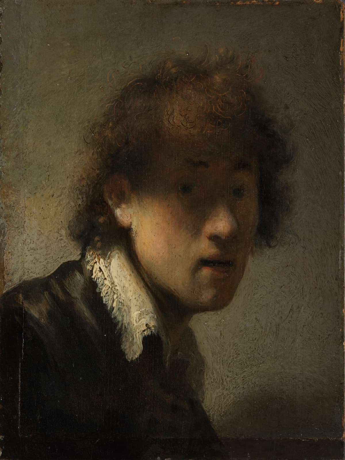 Zelfportret met warrig bruin haar en witte kraag