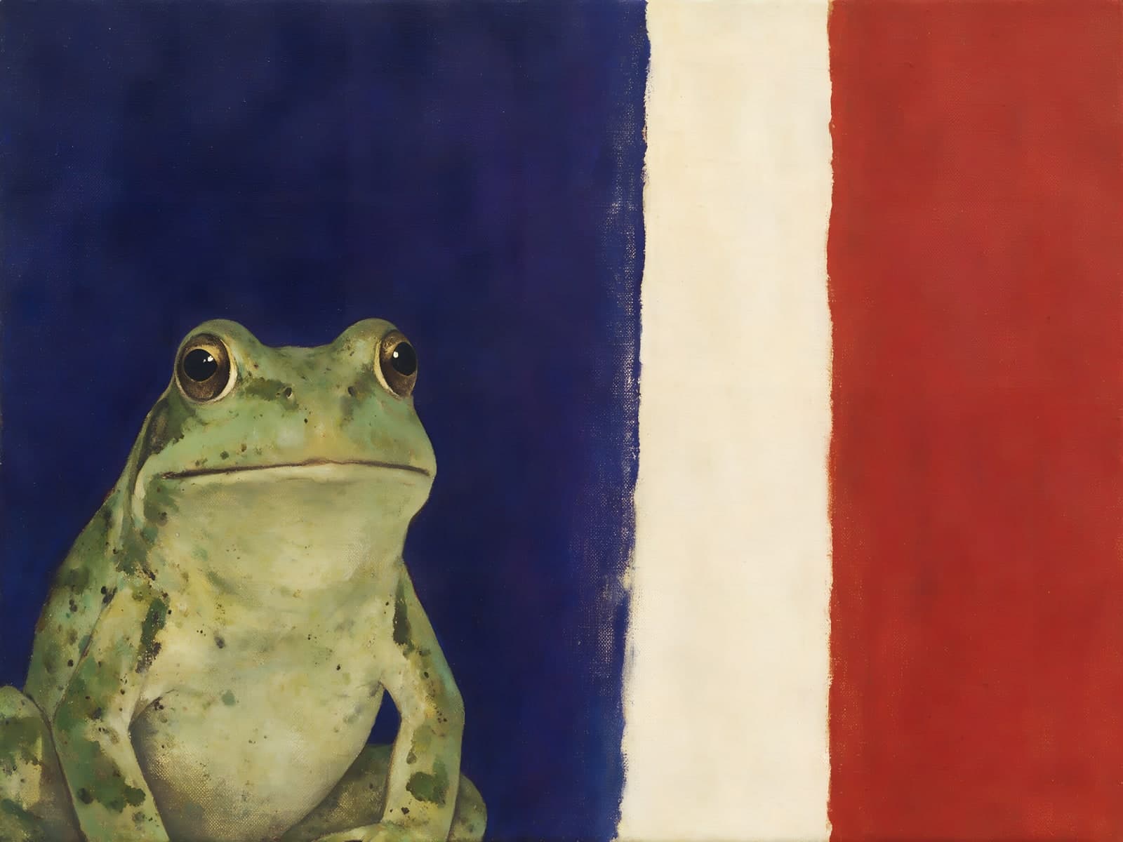 Groene kikker voor blauwe en rode banen