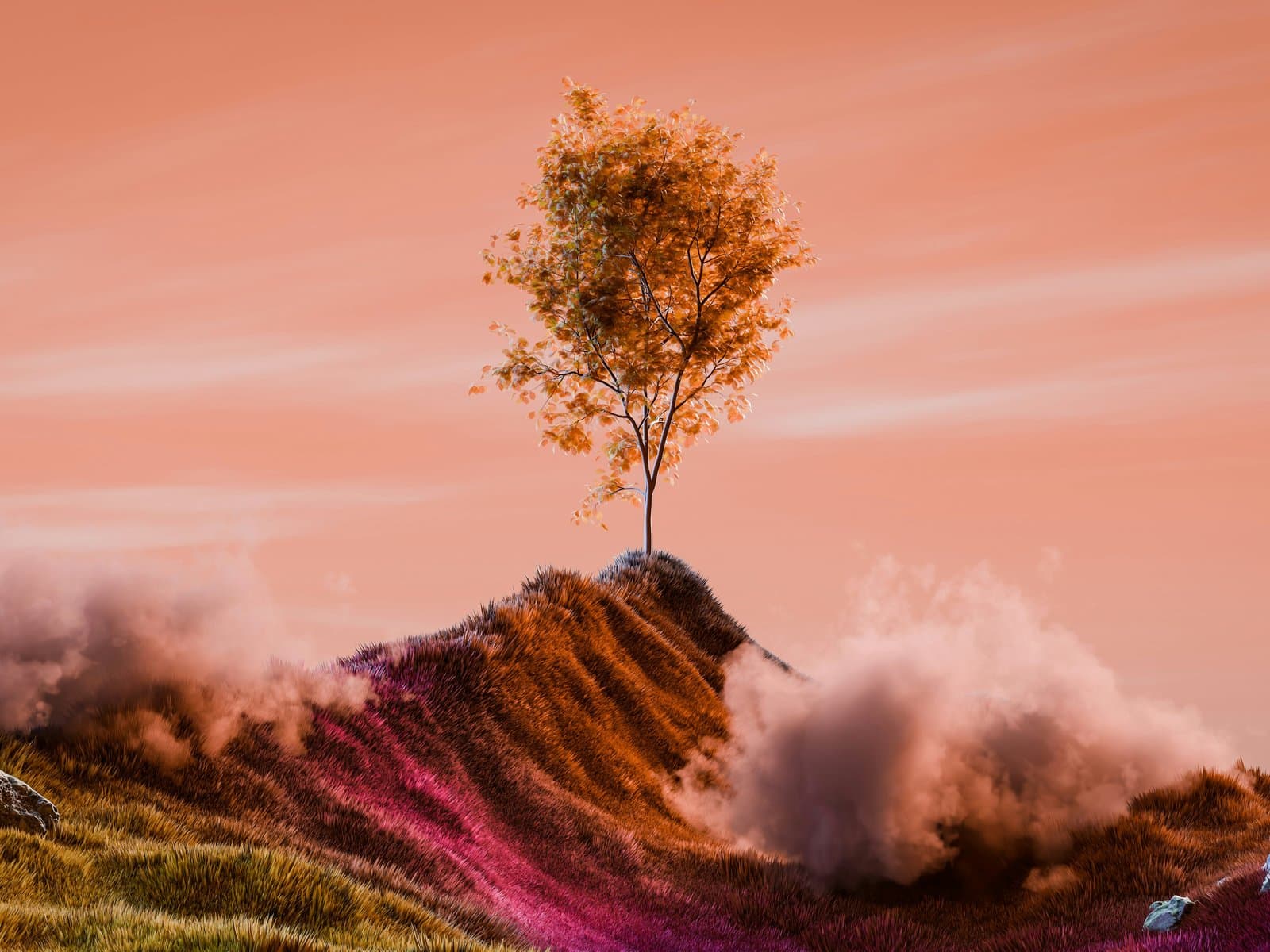 Herfstboom op een rotsheuvel met stofwolken