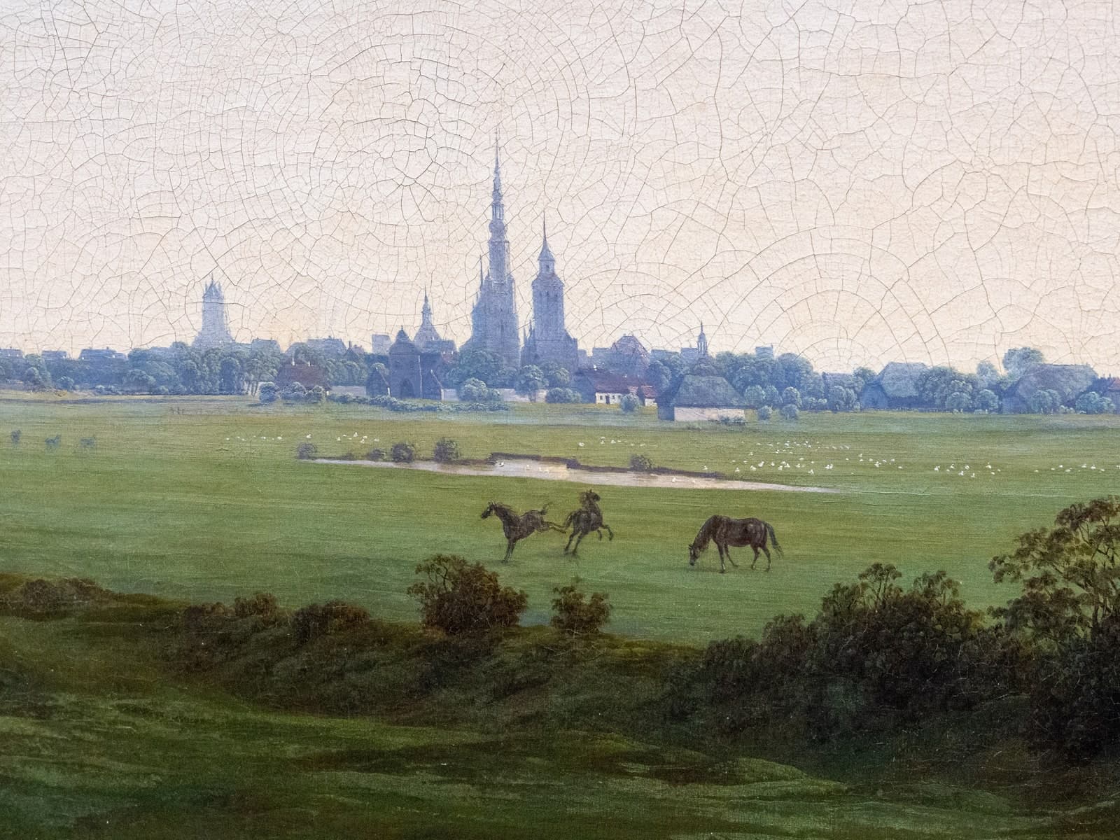 Weiden bij Greifswald